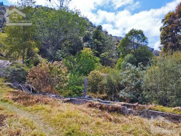 VENTA DE HERMOSO TERRENO CON INVERNADEROS COLINDA CON ARROYO EN CARBONERAS, MINERAL DEL CHICO.