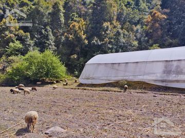 VENTA DE HERMOSO TERRENO CON INVERNADEROS COLINDA CON ARROYO EN CARBONERAS, MINERAL DEL CHICO.