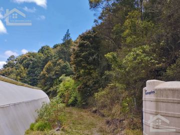 VENTA DE HERMOSO TERRENO CON INVERNADEROS COLINDA CON ARROYO EN CARBONERAS, MINERAL DEL CHICO.