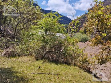 VENTA DE HERMOSO TERRENO CON INVERNADEROS COLINDA CON ARROYO EN CARBONERAS, MINERAL DEL CHICO.