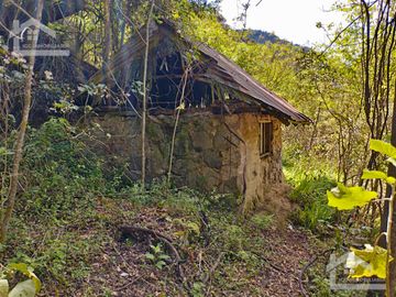 VENTA DE HERMOSO TERRENO CON INVERNADEROS COLINDA CON ARROYO EN CARBONERAS, MINERAL DEL CHICO.