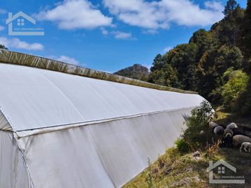 VENTA DE HERMOSO TERRENO CON INVERNADEROS COLINDA CON ARROYO EN CARBONERAS, MINERAL DEL CHICO.