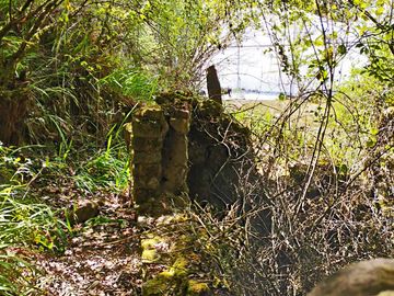 VENTA DE HERMOSO TERRENO CON INVERNADEROS COLINDA CON ARROYO EN CARBONERAS, MINERAL DEL CHICO.