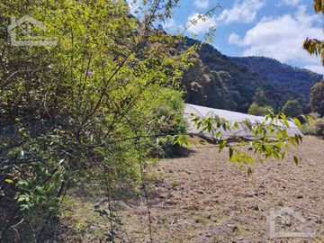 VENTA DE HERMOSO TERRENO CON INVERNADEROS COLINDA CON ARROYO EN CARBONERAS, MINERAL DEL CHICO.