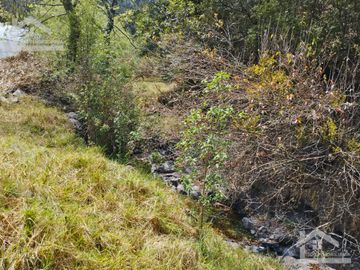 VENTA DE HERMOSO TERRENO CON INVERNADEROS COLINDA CON ARROYO EN CARBONERAS, MINERAL DEL CHICO.
