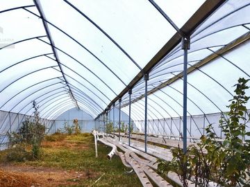 VENTA DE HERMOSO TERRENO CON INVERNADEROS COLINDA CON ARROYO EN CARBONERAS, MINERAL DEL CHICO.