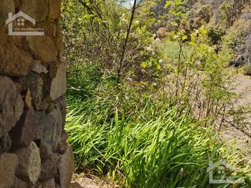 VENTA DE HERMOSO TERRENO CON INVERNADEROS COLINDA CON ARROYO EN CARBONERAS, MINERAL DEL CHICO.