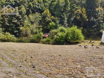 VENTA DE HERMOSO TERRENO CON INVERNADEROS COLINDA CON ARROYO EN CARBONERAS, MINERAL DEL CHICO.