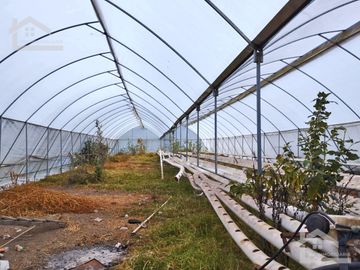 VENTA DE HERMOSO TERRENO CON INVERNADEROS COLINDA CON ARROYO EN CARBONERAS, MINERAL DEL CHICO.