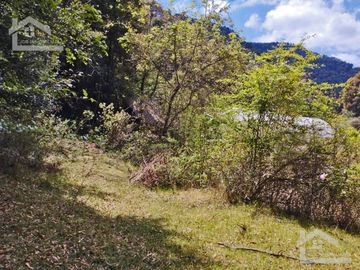 VENTA DE HERMOSO TERRENO CON INVERNADEROS COLINDA CON ARROYO EN CARBONERAS, MINERAL DEL CHICO.