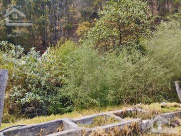 VENTA DE HERMOSO TERRENO CON INVERNADEROS COLINDA CON ARROYO EN CARBONERAS, MINERAL DEL CHICO.