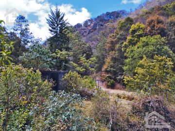 VENTA DE HERMOSO TERRENO CON INVERNADEROS COLINDA CON ARROYO EN CARBONERAS, MINERAL DEL CHICO.