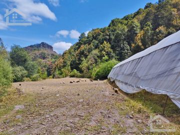 VENTA DE HERMOSO TERRENO CON INVERNADEROS COLINDA CON ARROYO EN CARBONERAS, MINERAL DEL CHICO.