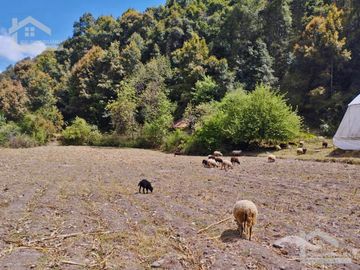 VENTA DE HERMOSO TERRENO CON INVERNADEROS COLINDA CON ARROYO EN CARBONERAS, MINERAL DEL CHICO.