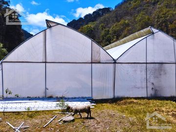 VENTA DE HERMOSO TERRENO CON INVERNADEROS COLINDA CON ARROYO EN CARBONERAS, MINERAL DEL CHICO.
