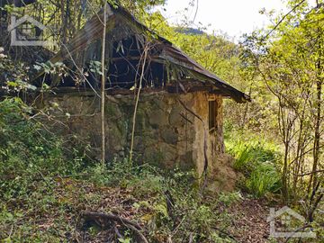 VENTA DE HERMOSO TERRENO CON INVERNADEROS COLINDA CON ARROYO EN CARBONERAS, MINERAL DEL CHICO.