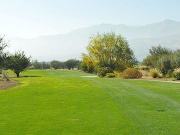 Sitio en Venta en HACIENDA CHICUREO