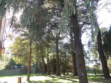 Casa - Tandil