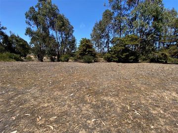 Sitio en Venta en Los Aromos de Tunquen