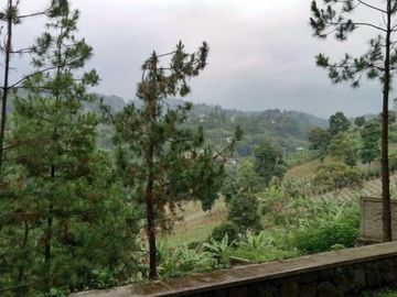 Rumah Semi Villa Dago