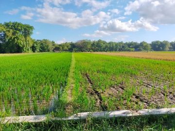 Tanah Dijual Klaten Dekat KUA Juwiring SHM Pecah Unit