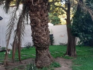 ¡GRAN OPORTUNIDAD… - INTERESANTE CASA DE DOS PLANTAS EN VILLA LUZURIAGA