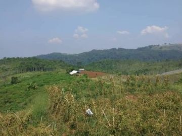 Jual Cepat Tanah Murah 200 Ha Di Cipanas Kota Cianjur