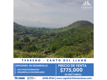 TERRENO CANTO DEL LLANO