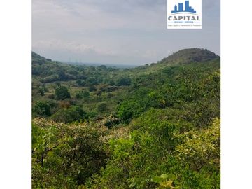 TERRENO CANTO DEL LLANO