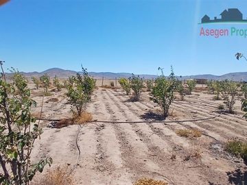 Casa en venta de 4 dorm. en Huasco