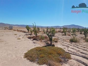 Casa en venta de 4 dorm. en Huasco
