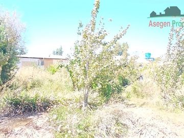 Casa en venta de 4 dorm. en Huasco