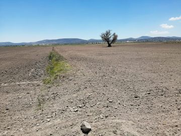 Terreno 4 Hectareas excelente opción para siembra.