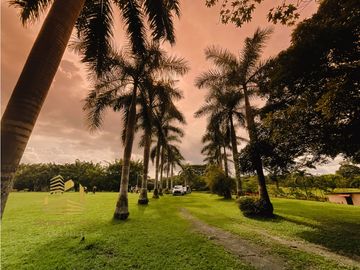Se Vende finca Ecuestre en Chame