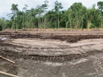 Kavling Dijual Sleman Dekat Golf Merapi