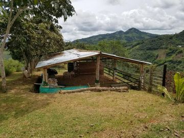 finca en venta en borrero ayerbe. Cod V12042