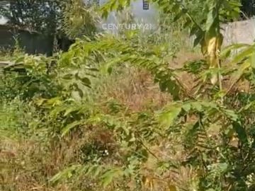 Tanah Disewakan Daerah Balendah Kabupaten Bandung