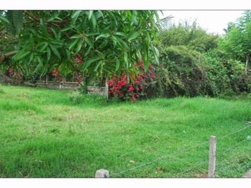 TAGAYTAY-SILANG TOLENTINO WEST FARM CEMENTED ROAD 17,791 SQM