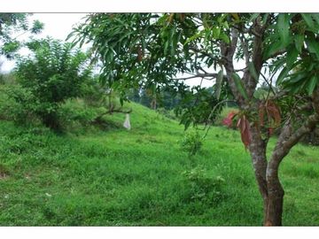 TAGAYTAY-SILANG TOLENTINO WEST FARM CEMENTED ROAD 17,791 SQM