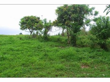 TAGAYTAY-SILANG TOLENTINO WEST FARM CEMENTED ROAD 17,791 SQM