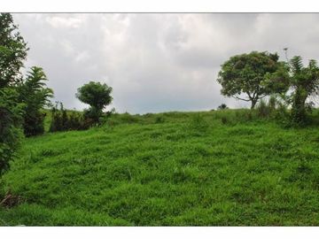 TAGAYTAY-SILANG TOLENTINO WEST FARM CEMENTED ROAD 17,791 SQM
