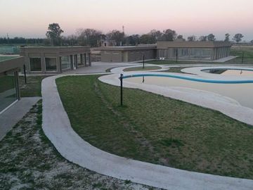 LOTE