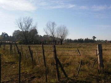 CASA QUINTA 4 AMB. SOBRE 2 LOTES DE 5000M2 CADA UNO