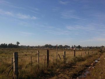 CASA QUINTA 4 AMB. SOBRE 2 LOTES DE 5000M2 CADA UNO