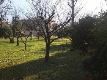 CASA QUINTA 4 AMB. SOBRE 2 LOTES DE 5000M2 CADA UNO