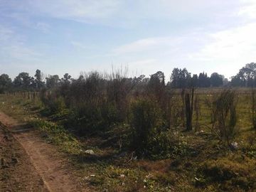 CASA QUINTA 4 AMB. SOBRE 2 LOTES DE 5000M2 CADA UNO