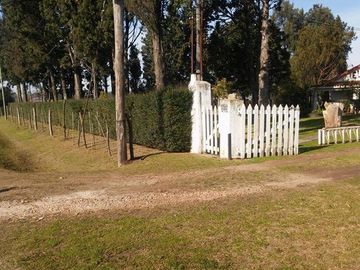CASA QUINTA 4 AMB. SOBRE 2 LOTES DE 5000M2 CADA UNO