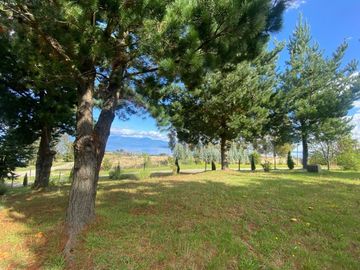 PARCELAS CON VISTA AL Lago Ranco