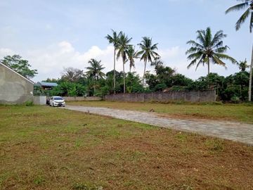 Seyegan Jogja: Tanah Murah Sleman