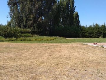LAS PALMERAS CON BALMACEDA